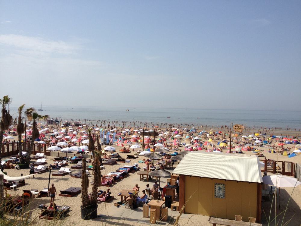 210555_10151083873503768_1377690273_o