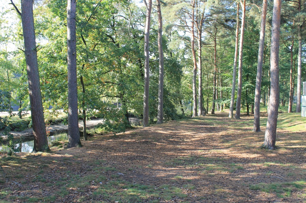 The view from our balcony